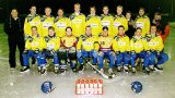 Vestan edustusjoukkue Bandyliigassa 2001-2002