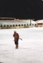 Yksinainen_Amurin_tiikeri